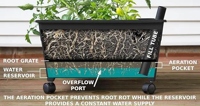 Emsco Group City Picker Raised Bed Grow Box – Self Watering and Improved Aeration – Mobile Unit with Casters by GreenHaven Gardens