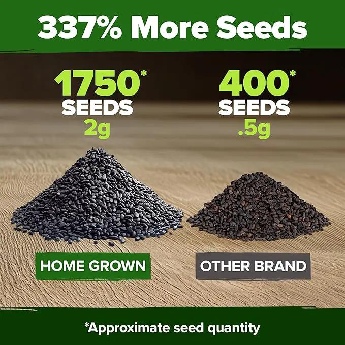 HOME GROWN 𝗨𝗦𝗔 𝗣𝗥𝗘𝗠𝗜𝗨𝗠 Genovese Basil Seeds Pack 1,750+ High Germination 𝗡𝗢𝗡-𝗚𝗠𝗢 Heirloom Seeds (Ocimum basilicum) Herb Seeds for Planting Indoor & Outdoor Gardening, for Culinary Use by GreenHaven Gardens