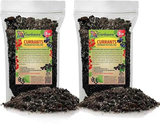Premium Currant Plant Potting Soil Mix - Optimal Nutrient-Rich Blend for Thriving and Juicy Currants - 10 Quart by GreenHaven Gardens
