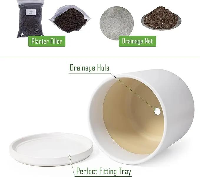 D'vine Dev 10 Inch Ceramic Planter Pot with Drainage Hole and Saucer, Indoor Cylinder Round Planter Pot, White, 94-O-E-1 by GreenHaven Gardens