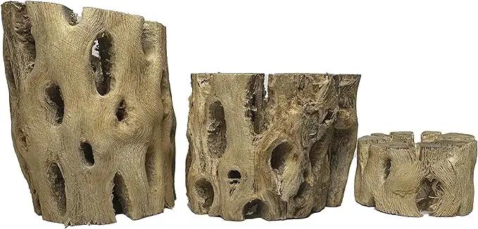 3 Natural Cholla Wood Air Plant Display Holders Tiered 1, 2 & 3 inch Individually Unique Round Decorative Stands by GreenHaven Gardens