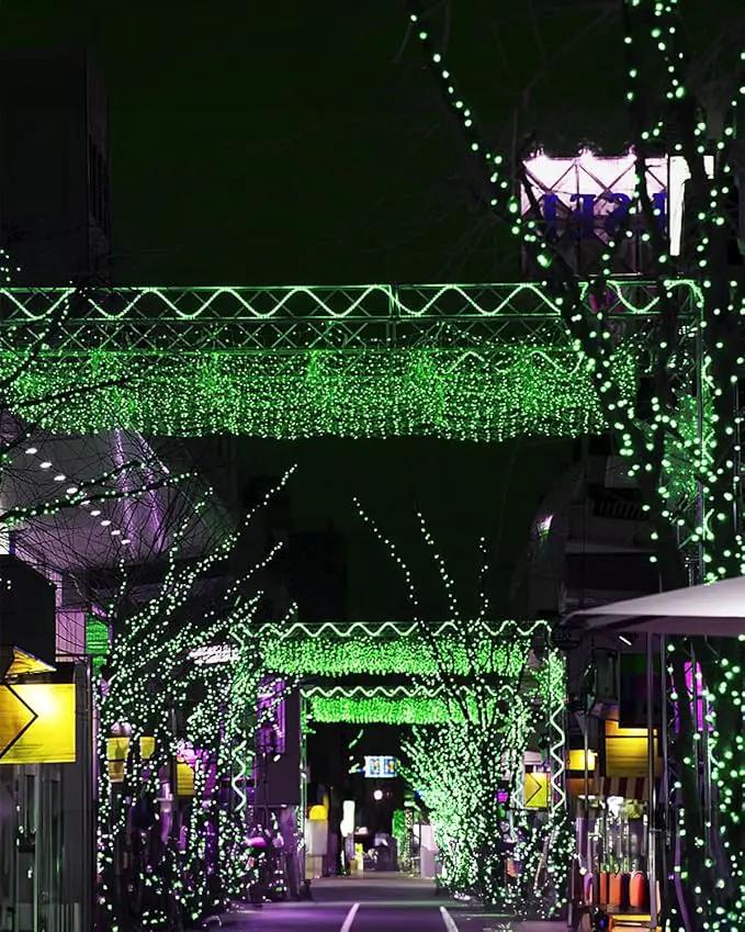 Twinkle Star 2 Pack Green Solar String Lights Outdoor, St. Patrick's Day Solar Fairy Lights Total 80 FT 240 LED, Waterproof 8 Modes, Tree Light for Patio Garden Wedding Party Home Holiday Decor by GreenHaven Gardens