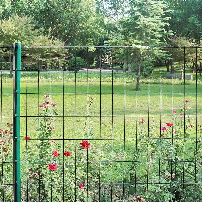 Black PVC Coated Welded Wire Fence 36 Inch x 50 Foot, 2 Inch x 4 Inch 15GA, Garden Border Fencing Roll Vinyl Coating Metal Wire Mesh Hardware Cloth for Yard Vegetable Plant Protection by GreenHaven Gardens
