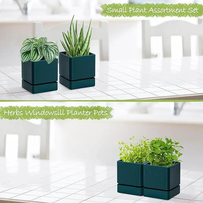 4 Inch Herb Planter Pot, Plastic Planter with Drainage Holes and Saucer, Modern Decorative Gardening Pot for Indoor Plants, Flowers, Herbs, Succulents, Green, Set of 2, 76-Y-C-2 by GreenHaven Gardens