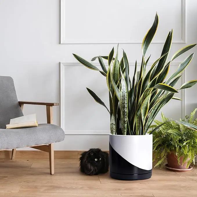 D'vine Dev 12 Inch Ceramic Planter Pot with Drainage Hole and Saucer, Indoor Cylinder Round Planter Pot, Oblique Monochrome Black and White, 94-O-F-K by GreenHaven Gardens