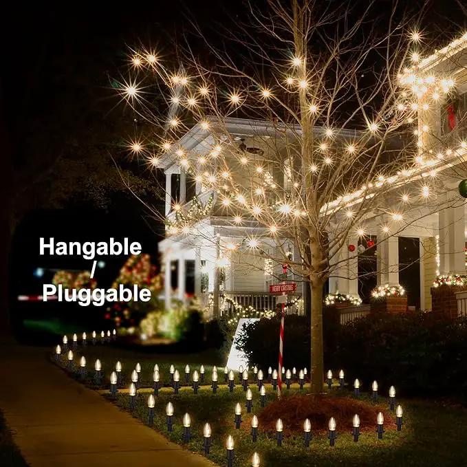 Outdoor Warm Christmas Pathway Lights, 24.2ft 20 Lights with Stakes, Outside Walkway Marker, C9 Christmas Decor, Driveway Decorations, Waterproof, Hanging or Plugging by GreenHaven Gardens