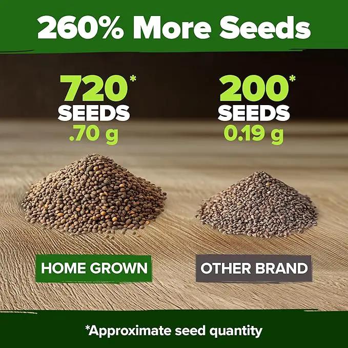 HOME GROWN Culantro Seeds - 720+ 𝗡𝗢𝗡-𝗚𝗠𝗢, 𝗨𝗦𝗔-𝗦𝗢𝗨𝗥𝗖𝗘𝗗 Heirloom Herb Seeds for Planting, Slow-Bolting, Flavorful Cilantro Alternative, Great for Outdoor Herb Gardens (Eryngium foetidum) by GreenHaven Gardens