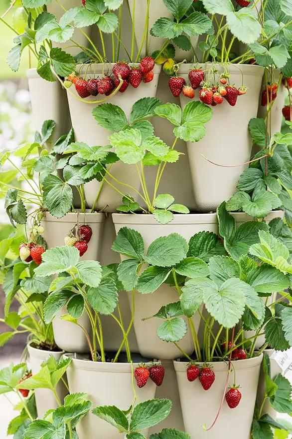 Greenstalk Patented Large 5 Tier Vertical Garden Planter with Patented Internal Watering System Great for Growing a Variety of Strawberries, Vegetables, Herbs, & Flowers (Stunning Stone) by GreenHaven Gardens