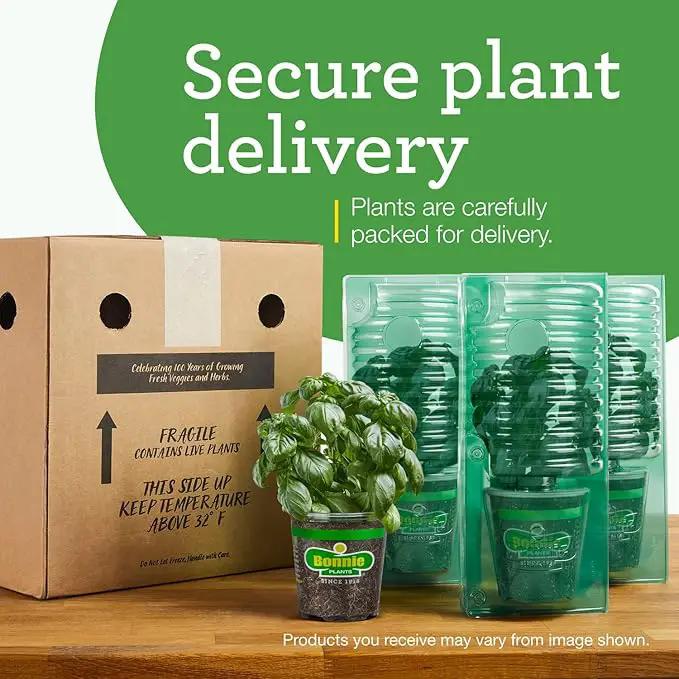 Bonnie Plants Strawberry, Live Plant, 19.3 oz. (4-Pack) by GreenHaven Gardens