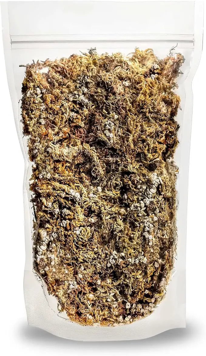 Sphagnum Moss Potting Mix for Carnivorous Plants, Moss and Perlite Blend for Potting Venus Fly Traps, Sarracenia, Pitcher Plants - 75% Sphagnum Moss + 25% Perlite - Made in USA - 1 Quart by GreenHaven Gardens