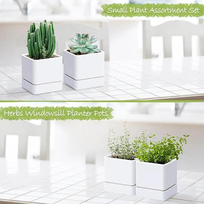 4 Inch Herb Planter Pot, Plastic Planter with Drainage Holes and Saucer, Modern Decorative Gardening Pot for Indoor Plants, Flowers, Herbs, Succulents, White, Set of 2, 76-Y-A-2 by GreenHaven Gardens