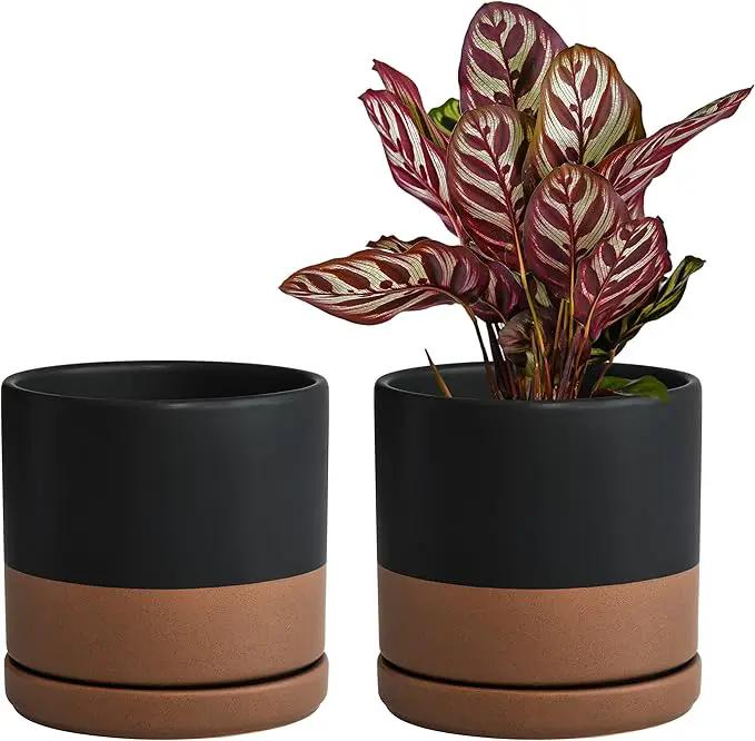 D'vine Dev Set of 2 Plants Pots, 6 Inch Ceramic Planter Pot for Plants with Drainage Hole and Saucer, Black/Speckled Tan, 94-V-C-7 by GreenHaven Gardens