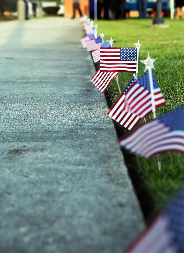 Brightown 4th of July Decorations Outdoor, Red White and Blue Lights, 6 Flag Lights Pathway, Memorial Day Decorations for Independence Day Garden Yard Lawn Outside Patriotic Decorations by GreenHaven Gardens