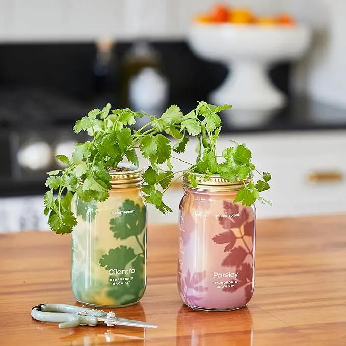 Modern Sprout New & Improved Mason Jar Grow Set 6pk, Indoor Herb Garden, Seed Starter Set, Organic Seeds, Hydroponic Growing (Basil + Mint + Parsley + Cilantro + Rosemary+ Lavender) by GreenHaven Gardens