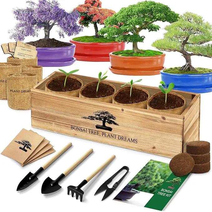 Bonsai Tree Kit, Bonsai Starter Kit with 4 Bonsai Tree Seeds, Tools & Planters, Bonsai Tree Live Plants Indoor, Gardening Gifts for Women Men Mom Father Plant Lover, Unique Christmas Gifts by GreenHaven Gardens
