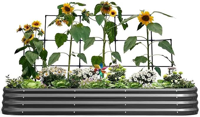 KING BIRD Raised Garden Bed with Wall Trellis Galvanized Planter Garden Box Outdoor for Gardening, Climbing Vegetables, Flowers 7.87x3.94x0.98 Ft, Dark Grey by GreenHaven Gardens