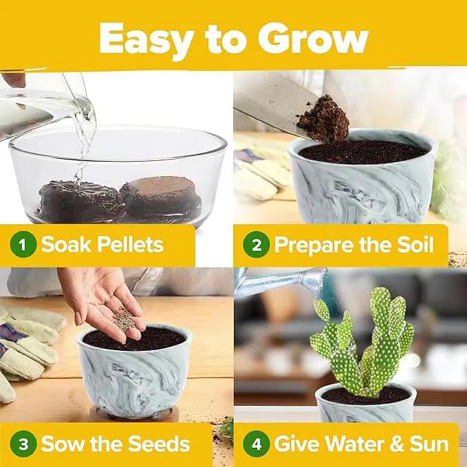 HOME GROWN Deluxe Succulent & Cactus Seed Grow Kit - Complete Indoor Plant Kit with Cactus Seeds, Potting Soil, Ceramic Pots, Drip Trays, and Grow Guide for Plant Enthusiasts by GreenHaven Gardens