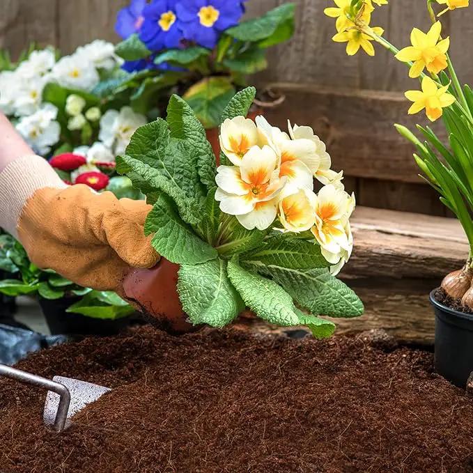 ZeeDix Organic Coco Coir Pellets Potting Soil, 150pcs 30mm Compressed Coconut Fiber Seed Starter Soil Pellets, Coco Peat Soil Discs for Indoor Outdoor Plants, Herbs, Houseplants, Flowers, Vegetables by GreenHaven Gardens