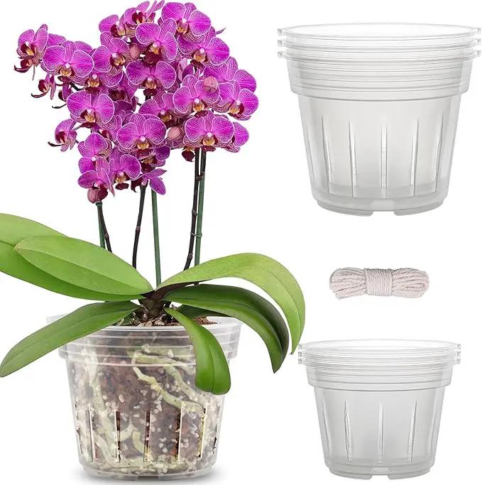 REMIAWY Orchid Pot - 6 Pack Clear Plastic Orchid Pots with Holes, Slotted Flower Planter for Indoor Outdoor Use, 3 Each of 4.1 and 4.8 Inch by GreenHaven Gardens