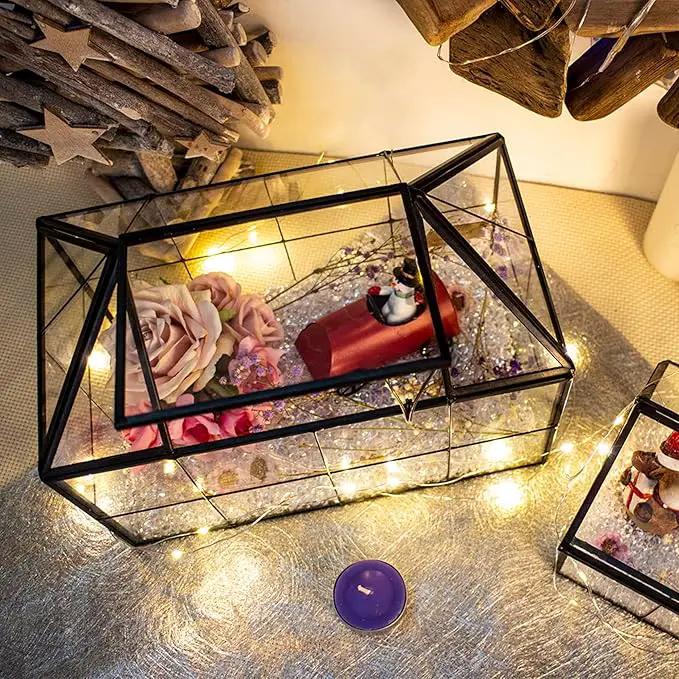 Ferrisland Glass Terrarium Greenhouse House Shape Display Box Planter for Succulents Plant Terrarium Container Mordern Tabletop Decor Gardern DIY Kit by GreenHaven Gardens