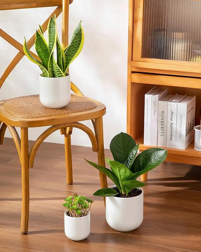 vancasso Ceramic Plant Pots, 4+5+6 inches, Set of 3, Planters with Drainage Hole, Flower Pots Planters Pots for Indoor Plants, Modern Indoor Decorative Garden Pot, Home Decor, White by GreenHaven Gardens