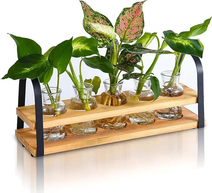 Plant Propagation Stations with Wood Stand, Desktop Plant Terrarium for Propagating Hydroponic, Flower Vase for Home Kitchen Office Decor, Plant Lover Gifts by GreenHaven Gardens