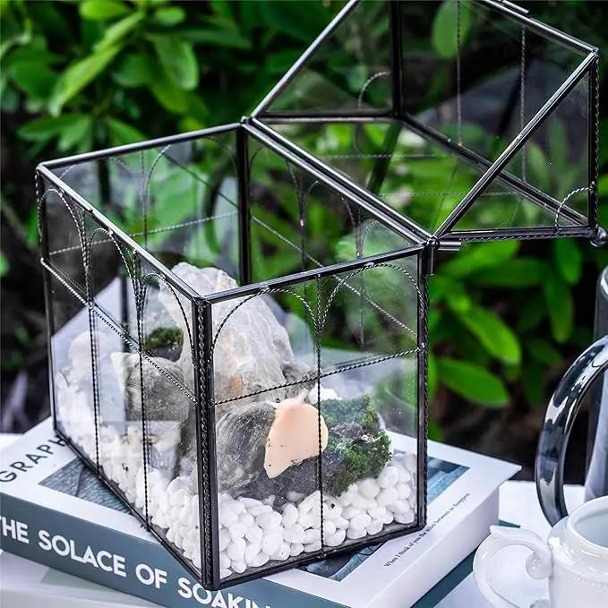 NCYP Black Glass Terrarium with Lid, Indoor Geometric Planter for Cacti, Air Plants, Succulents, Insect, Snail, House Shape Closed Box 7.5" x 4.9" x 9" (No Plant Included) by GreenHaven Gardens