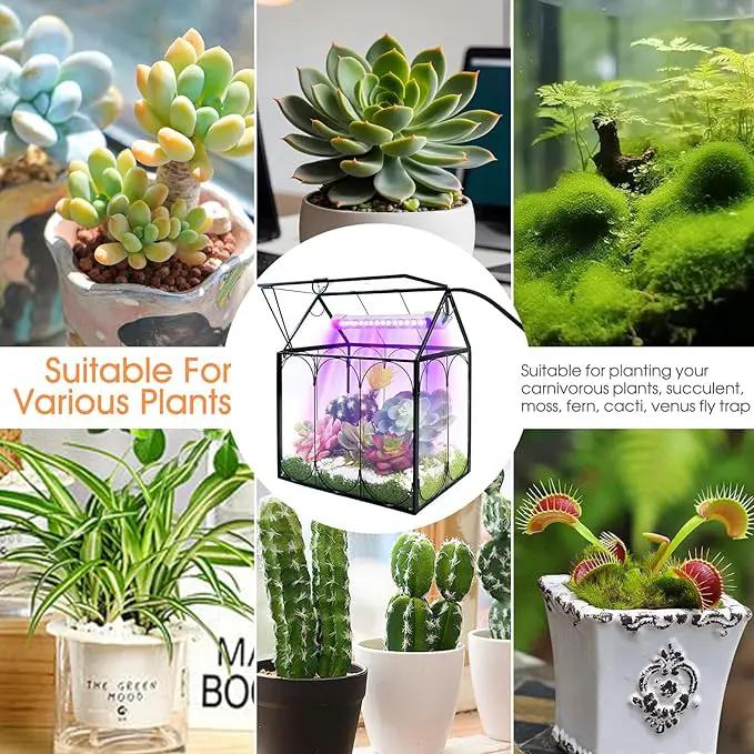 Plant Terrarium with Grow Light, Rifny Indoor House Shape Glass Terrarium Kit with Lid, Small Terrarium Jar Planter for Venus Fly Trap Succulent Live Air Plants Decor for Home Office (Without Plants) by GreenHaven Gardens