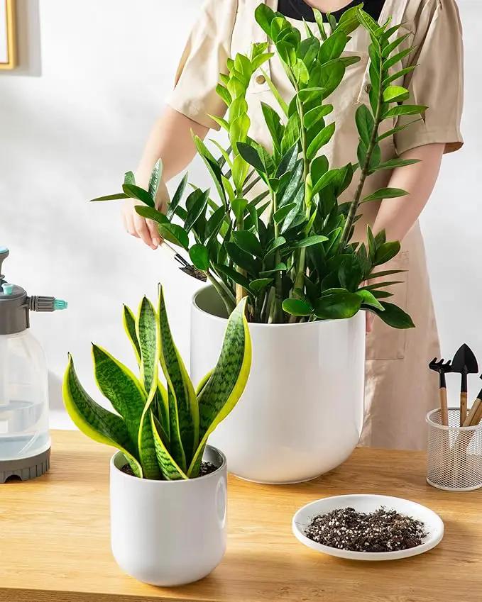 vancasso 6+8+10 inches Ceramic Plant Pots, Set of 3, Planters with Drainage Hole, Flower Pots Planters Pots for Indoor Plants, Modern Indoor Decorative Garden Pot, Home Decor, White by GreenHaven Gardens