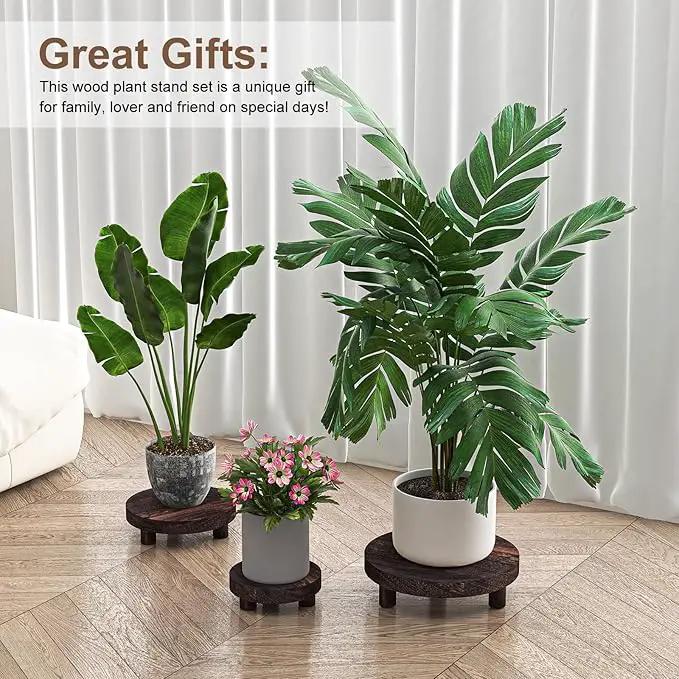 3 Pcs Wood Plant Stand Indoor Outdoor, Round Wood Riser for Decor 6/8/10" Wooden Stool Display Stand Flower Pot Holder Small Planter Tray Modern Potter Decorative for Desktop Counter Room by GreenHaven Gardens