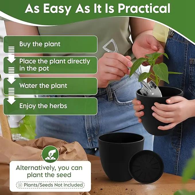 Indoor Garden Kit - Plant Pots with Drainage, Watering Can & Tools - Ideal Windowsill Planter Set - Modern Home & Kitchen Decor Gift - Black by GreenHaven Gardens