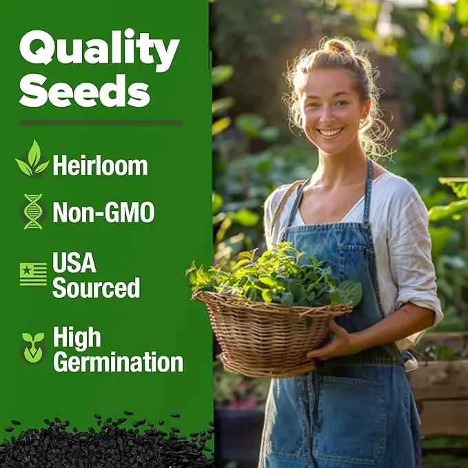 HOME GROWN Lemon Balm Seeds– 806 𝗡𝗢𝗡-𝗚𝗠𝗢 Heirloom Seeds for Planting – Melissa officinalis Herb for Tea, Garden, Indoor or Outdoor Growing–Plant for Pots, Beds & Hydroponics(Melissa officinalis) by GreenHaven Gardens