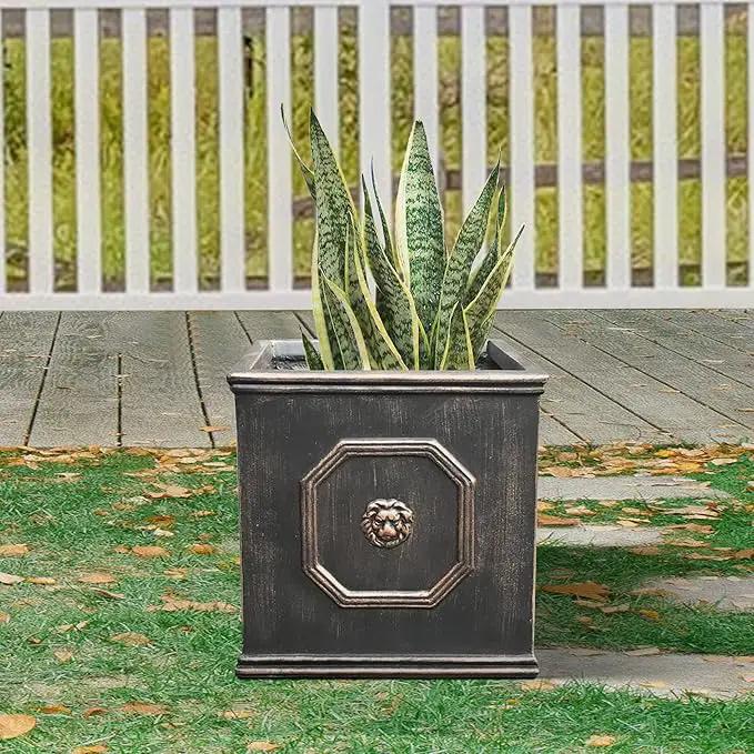 Kante Square Lion Head Concrete Planter, Classic English Style Plant Pot with Drainage Hole and Rubber Plug for Indoor Outdoor Garden Patio Home, 12.6"x12.6"x12.6" Oil Rubbed Bronze by GreenHaven Gardens