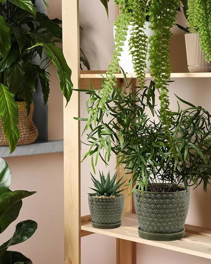 Plant Pots, Flower Pots, Planters for Indoor Plants(6.5+5.5inch), Flower Pots for Indoor Plants with Drainage Hole and Saucer, Ceramic Pots for Plants with Hole Mesh Pad,Reactive Glaze Green by GreenHaven Gardens