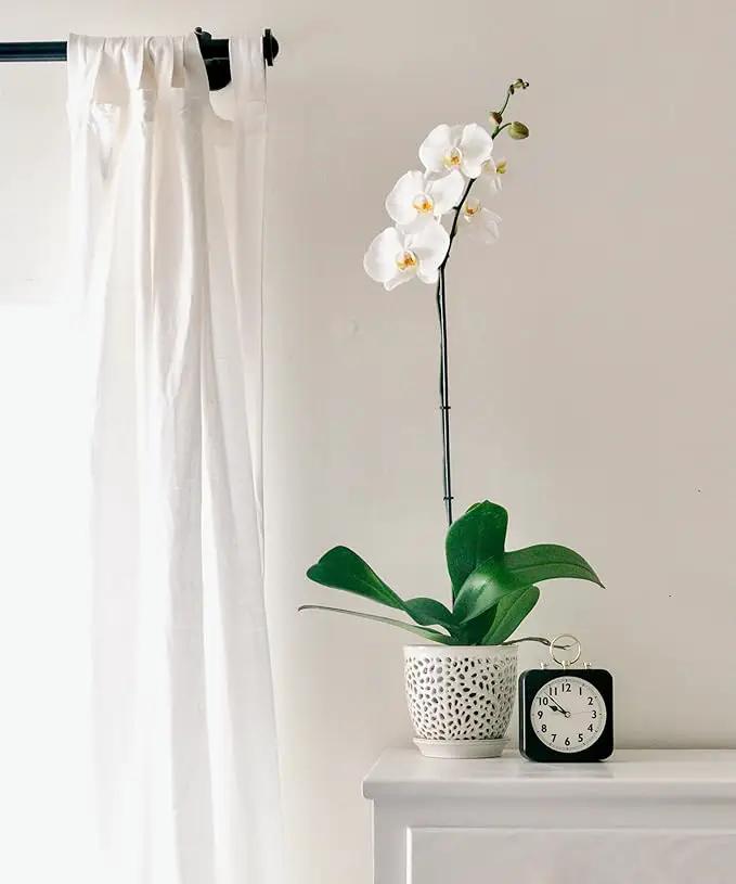 Elegant Orchid Pot with Holes, Large 6.5 inch Premium Porcelain Ceramic Orchid Pot for Repotting, Durable Ceramic Planter with Removable Saucer for Easy Drain, Planter Gifts for Moms by GreenHaven Gardens