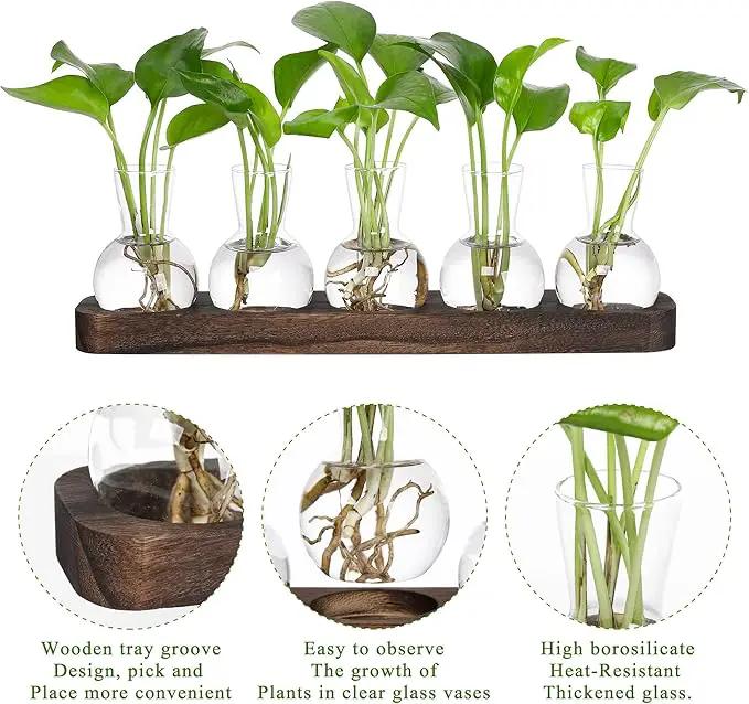 YIBOT Plant Propagation Stations,Glass Propagation Vases for Plants Terrarium with Wooden Tray Plant Lover Gifts for Propagating Hydroponic Plants Home Office Decor(5 Vase) by GreenHaven Gardens