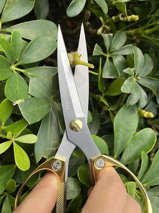 Indoor Plant Shears and Garden Scissors, Houseplant Shears Made of Japan SK5 Stainless Steel, Flowers Herbs and Plant Cutters, Clippers, Trimmers, Loppers, Bonsai Plant Pruning Scissors by GreenHaven Gardens