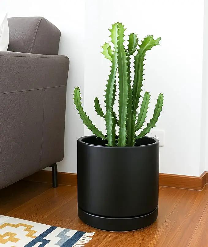 D'vine Dev 10 Inch Ceramic Planter Pot with Drainage Hole and Saucer, Indoor Cylinder Round Planter Pot, Black, 94-O-E-2 by GreenHaven Gardens