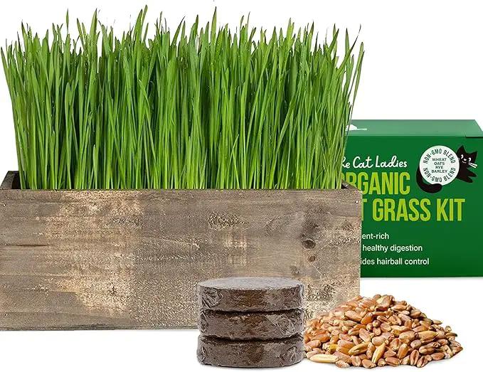 The Cat Ladies Cat Grass Kit Complete with Rustic Wood Planter, Organic Seed and Soil. Easy to Grow - Great for Indoor or Outdoor Cat, Dogs and Other Pets. Prevent Hairballs and Aid Digestion… by GreenHaven Gardens