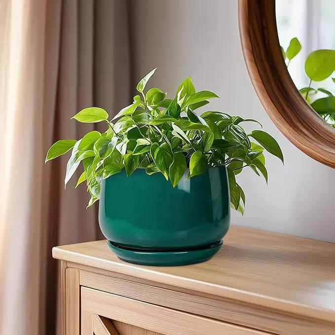 G EPGardening 6 Inch Plant Pot - Ceramic Planter for Indoor Plants, Round Planter with Drainage and Ceramic Tray, Flower Pots for Outdoor, Modern House Decor, Gift for Men Women, Green by GreenHaven Gardens