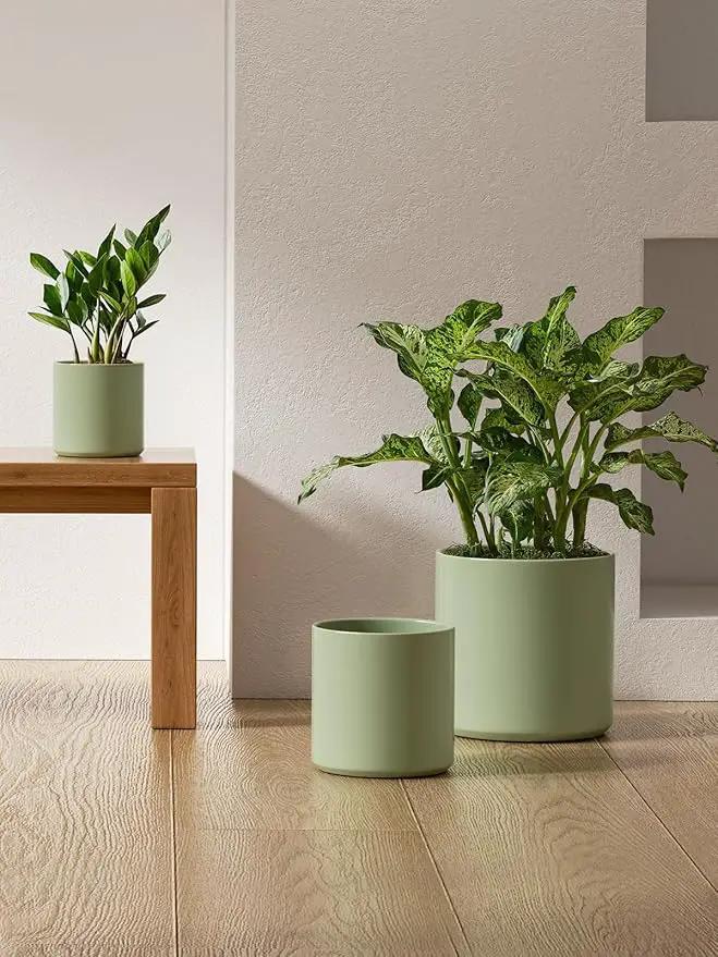 LE TAUCI Ceramic Plant Pots Indoor, 10+8+6 Inch Planters for Indoor Plants, Mid-Century Modern Pots with Drainage Hole and Plug, Cylinder Round Planters, Set of 3, Sage Green by GreenHaven Gardens