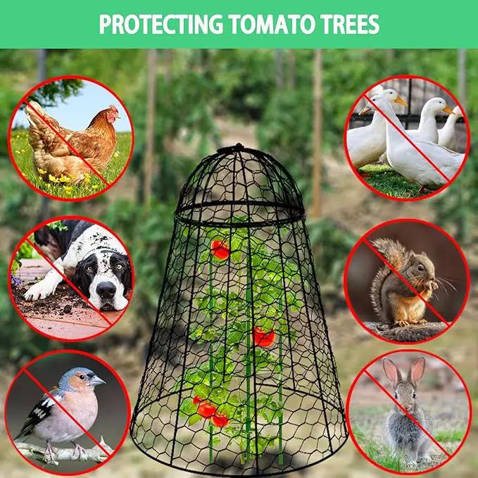 Garden Cloches for Plants Extra Large Sapbontchi Garden Cloche Chicken Wire Cloche for Plants Cages Cover Plant Protectors from Animals in Outdoor Vegetable Garden Set of 6 Plant Cloche 20" H x 12" D by GreenHaven Gardens