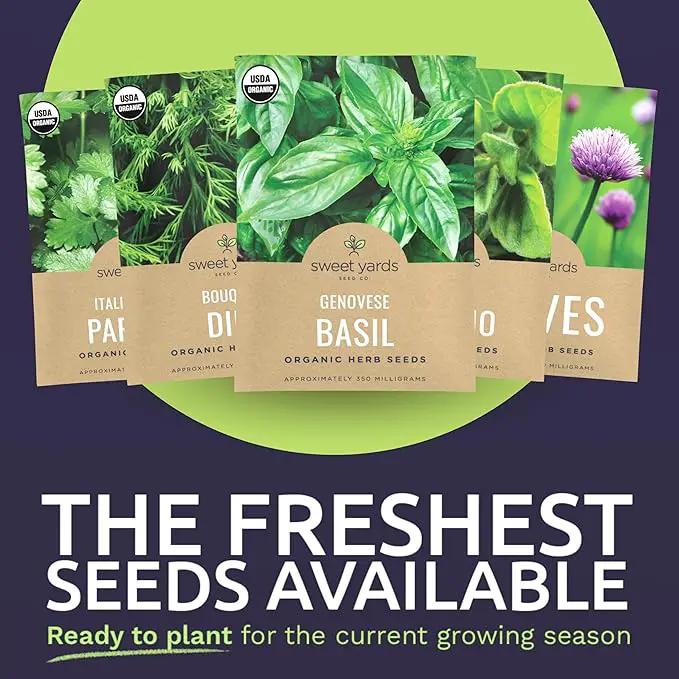 Organic Herb Seeds Variety Pack - 10 Individual Packs - 2025 Season - Basil, Cilantro, Dill, Thyme, Parsley and More! for Indoor & Outdoor Planting (Non-GMO, Certified Organic) by GreenHaven Gardens