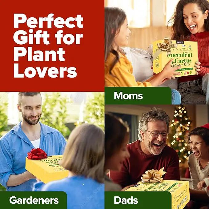 HOME GROWN Deluxe Succulent & Cactus Seed Grow Kit - Complete Indoor Plant Kit with Cactus Seeds, Potting Soil, Ceramic Pots, Drip Trays, and Grow Guide for Plant Enthusiasts by GreenHaven Gardens