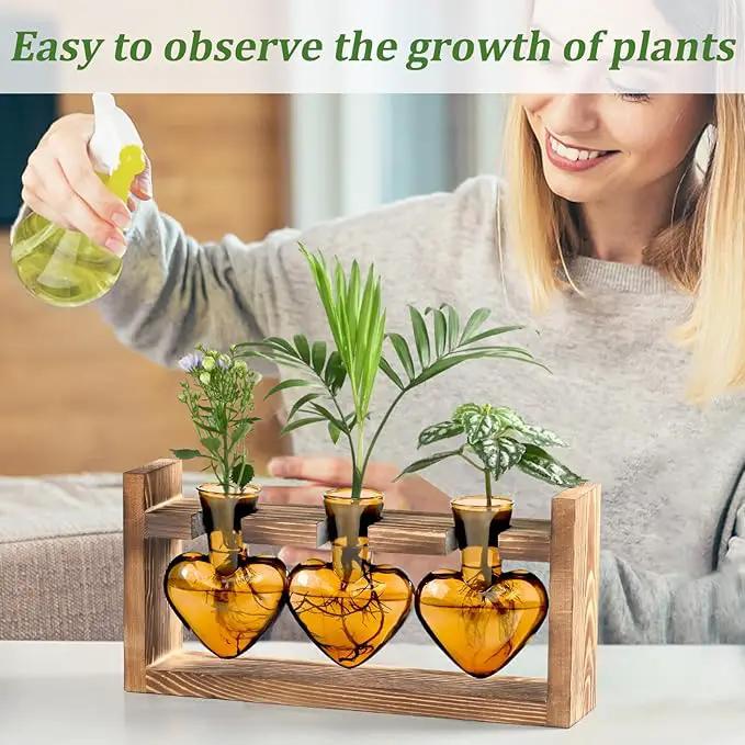 Lifecapido Heart Shaped Propagation Stations, Plant Terrarium with Wooden Stand, Plant Propagation Station for Hydroponics Plants Office Garden Home Decor, Gifts for Women Plant Lover (3 Vases, Amber) by GreenHaven Gardens