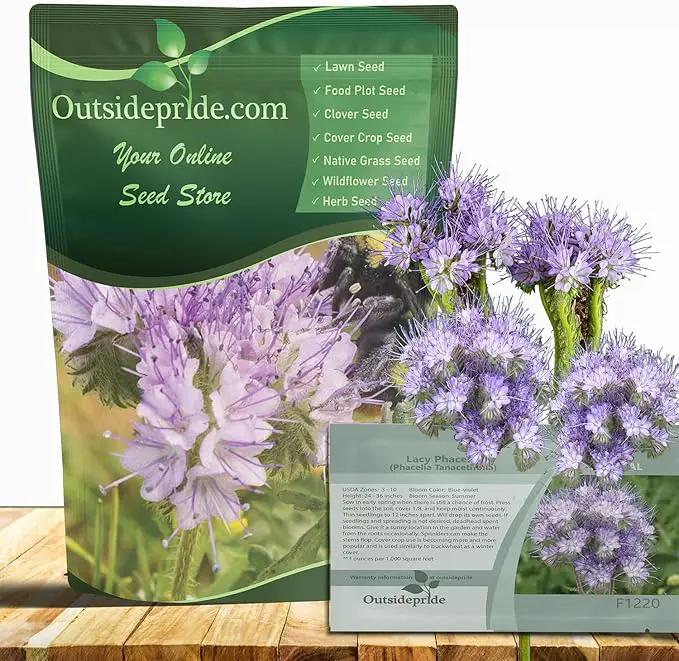 Outsidepride Lacy Phacelia Seeds for Planting - 5000 Pcs Annual, Drought-Tolerant Wildflower Seeds w/Light Violet Flowers, Ideal for Pollinator Gardens, Erosion Control, & Attracts Bees & Butterflies by GreenHaven Gardens