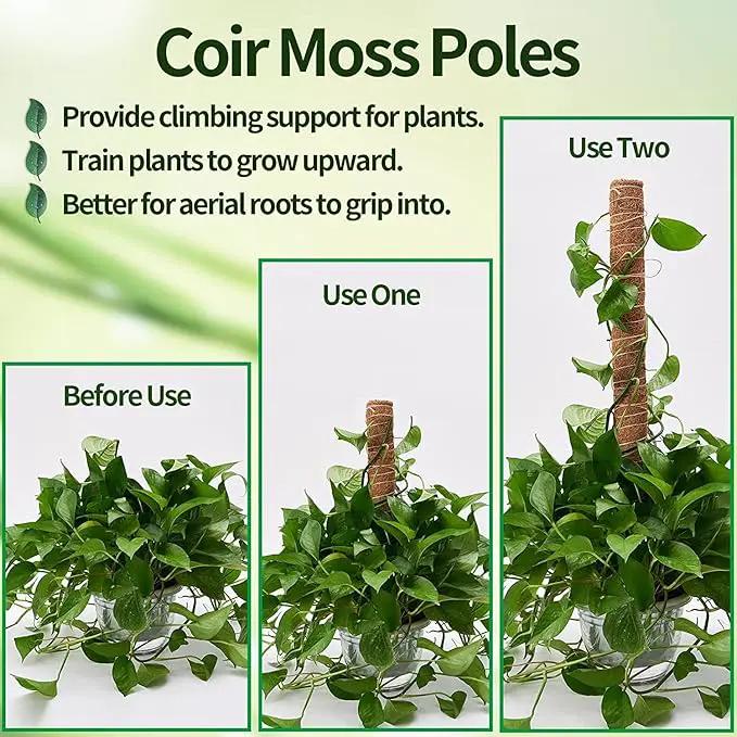 8 Pcs Moss Pole for Plants Monstera, Plant Support Stakes for Indoor Climbing Plants Grow Upwards, with 65ft Twist Ties, 13ft Jute Rope, 6.5ft Hook-and-Loop Strip by GreenHaven Gardens