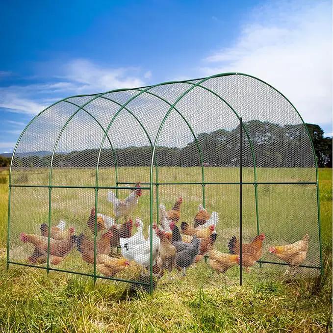 Large Garden Support Arch Frame for Climbing Plants, 9.85 x 7.05 x 7.22 ft Heavy Duty Plant Climbing Arbor Arch, Multi-Purpose Support Frame for Vines, Weddings & Backyard Decoration by GreenHaven Gardens