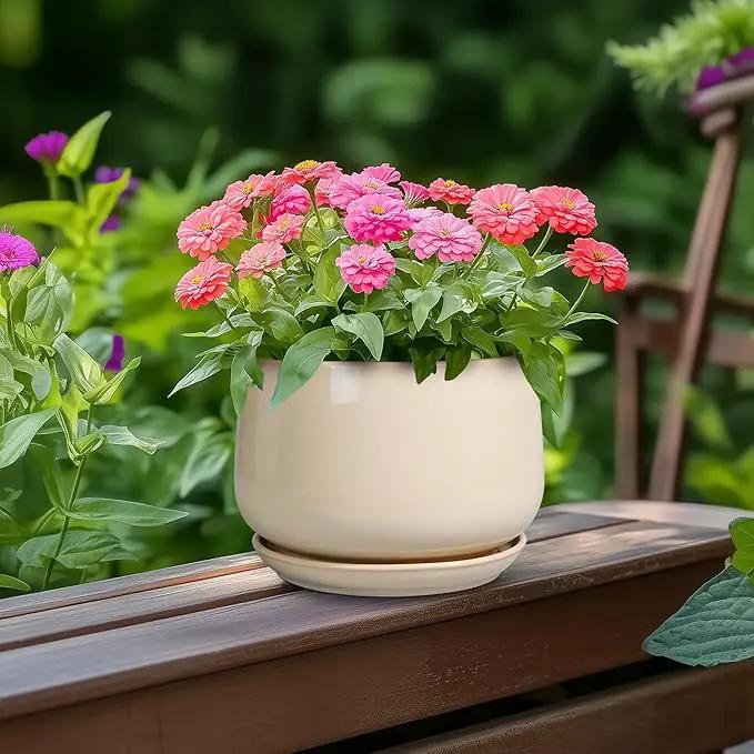 G EPGardening Ceramic Pot for Plants - 6 Inch Planter with Drainage and Ceramic Saucer, Flower Pots for Indoor Plants, Modern Outdoor Planter, Home Decor, Gift for Women Men, Beige by GreenHaven Gardens