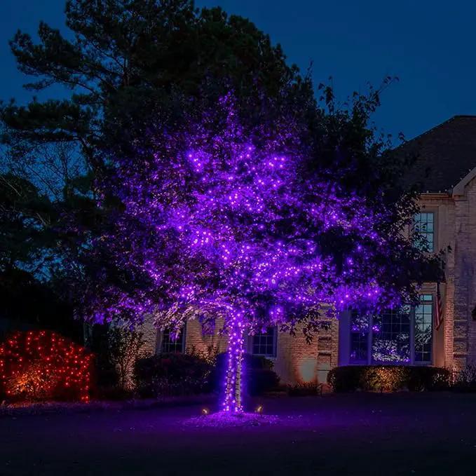TW SHINE Purple Halloween Lights, 20FT 100 Count Incandescent Mini String Lights, Waterproof Halloween Decorations for Outdoor Indoor Patio Home Party Garden Yard Decor by GreenHaven Gardens